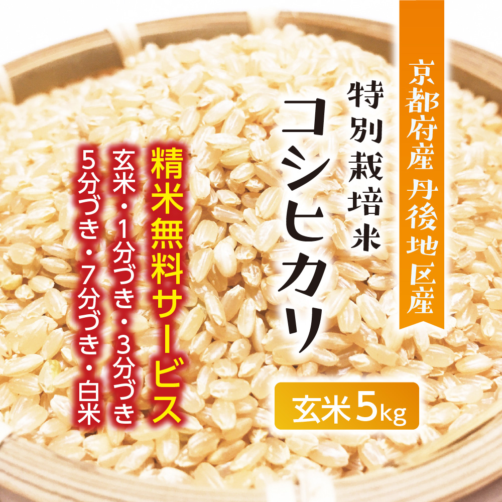 2019年・令和1年産「京都府丹後産コシヒカリ」特別栽培米・玄米30Kg-