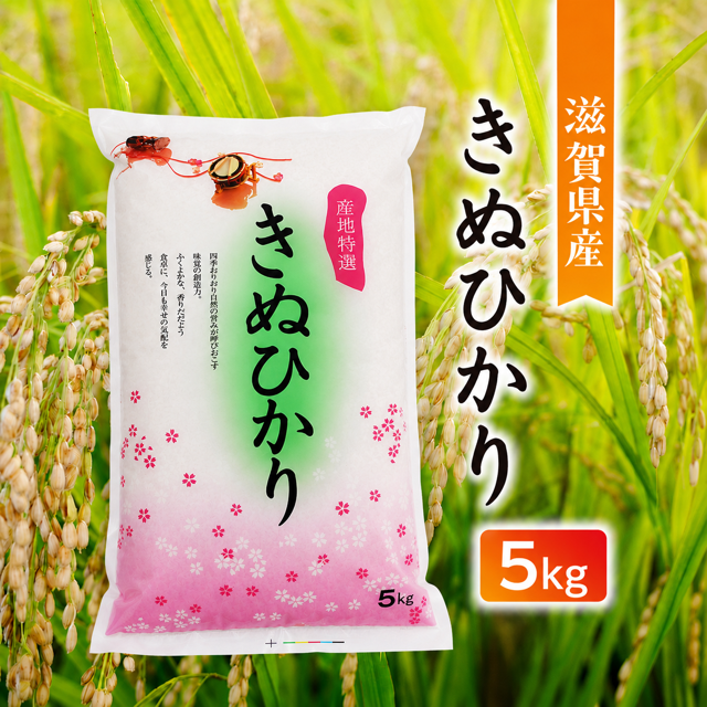 滋賀県産　きぬひかり